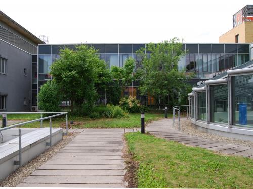 Green roof with lawn and trees